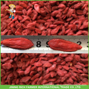 Rich Farmer Fornecedor Ningxia Certificado Wolfberry 500grains / 50g